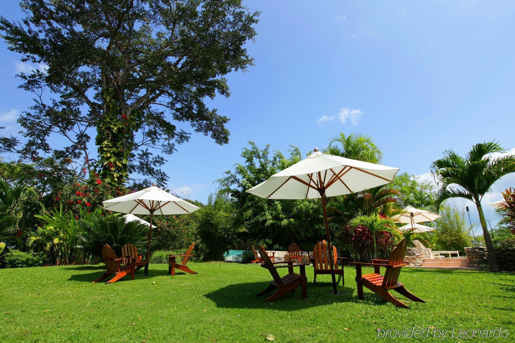 Machaca Hill Rainforest Canopy Lodge Punta Gorda Exterior photo