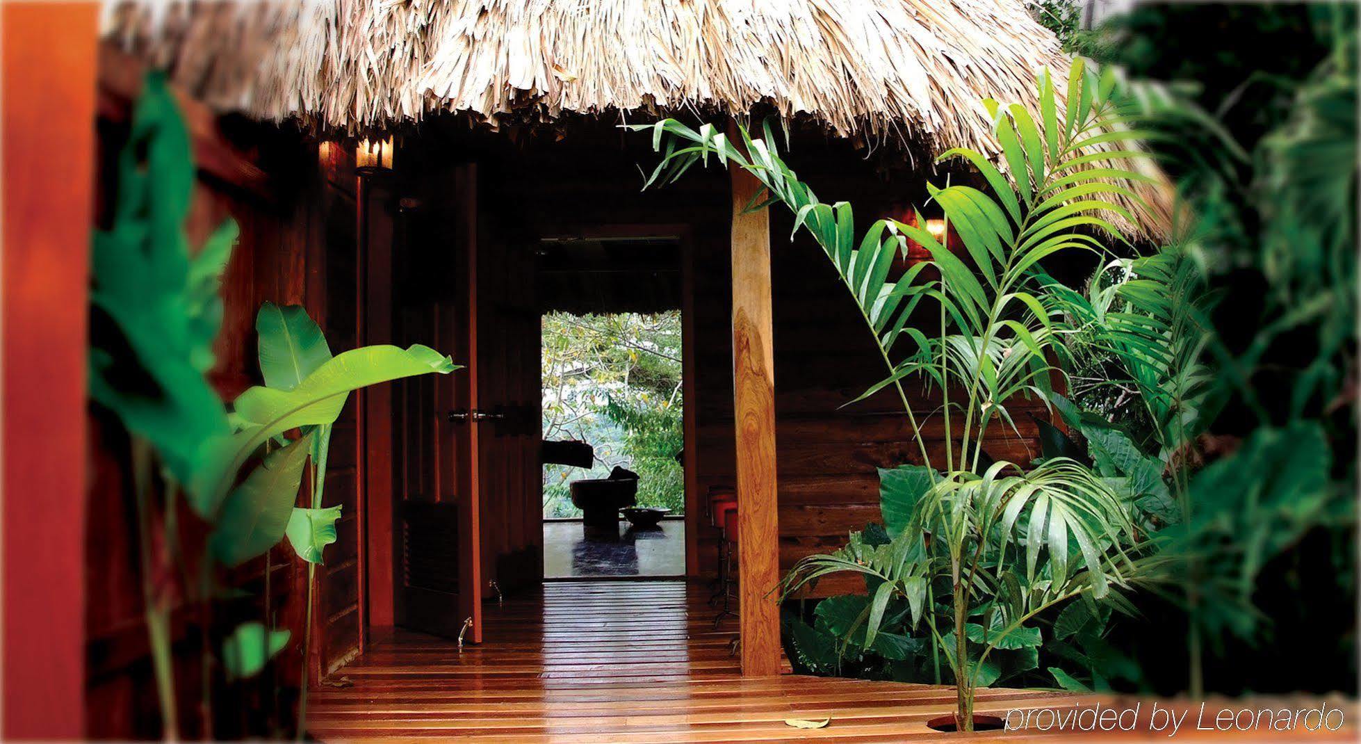 Machaca Hill Rainforest Canopy Lodge Punta Gorda Exterior photo